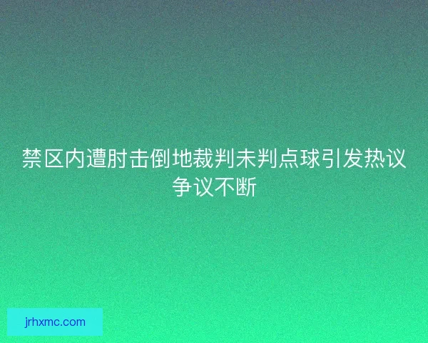 禁区内遭肘击倒地裁判未判点球引发热议争议不断